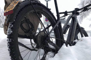 Motif for the Winter Bike to Work Day 2022 of the Ebike manufacterer Diamant