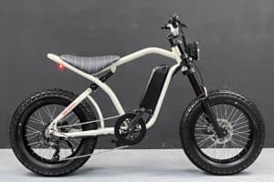 Urban Drivestyle Uni Viper ebike in side view