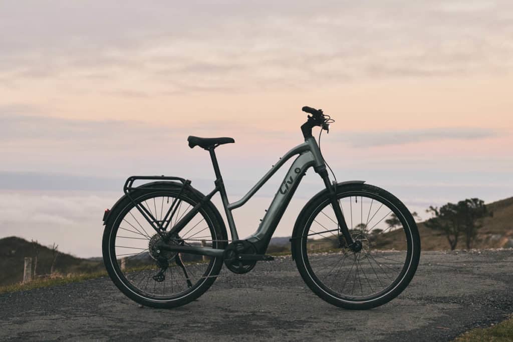 Liv Amiti E+ Pro ebike in the colour Silver Pine