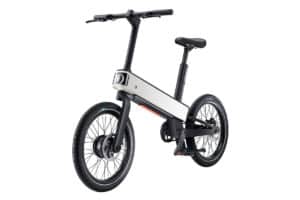 Acer ebii ebike