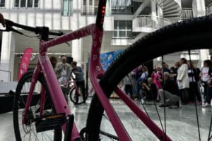 Detailed view of the frame of the Telekom Bike