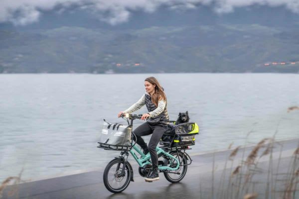 Tern HSD ebike can be combined with the Dog House Mini for transporting a dog, among other accessories