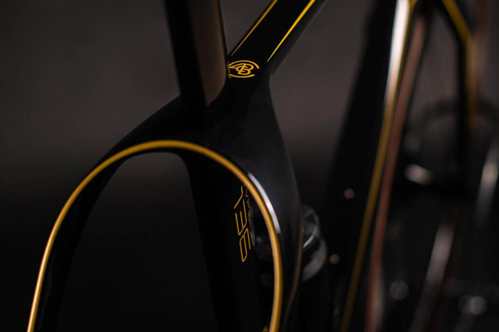 Curved and widely flared side stays on the Lotus Type 136 ebike