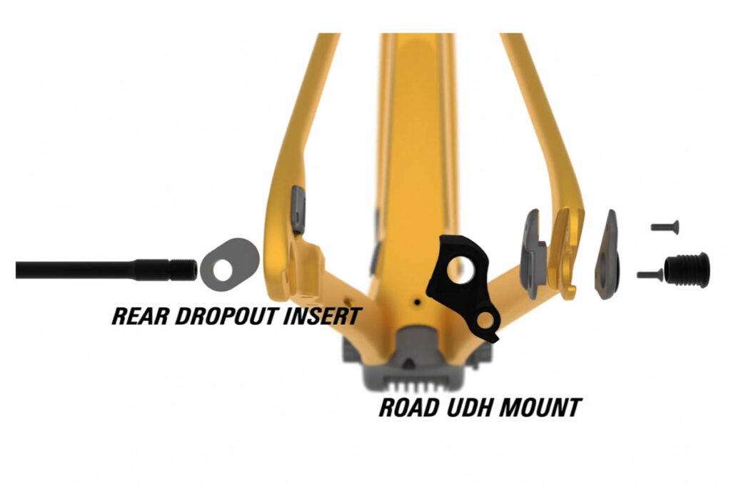 Interchangeable dropouts for the rear wheel on the Cervélo Rouvida ebike