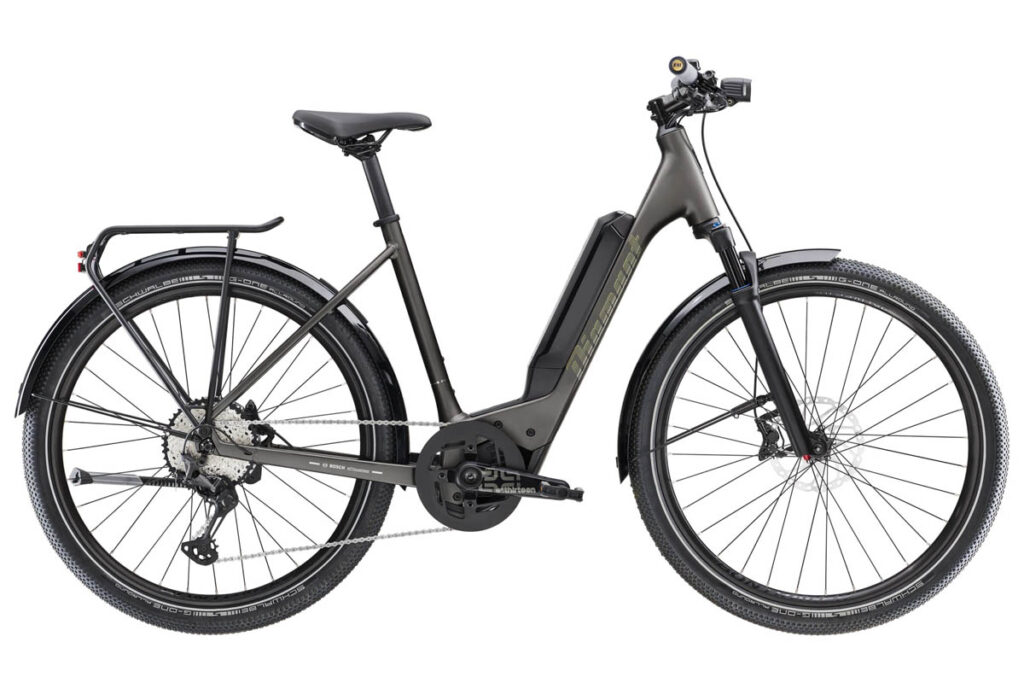 Diamant Zing Super Deluxe ebike featuring a low-step frame