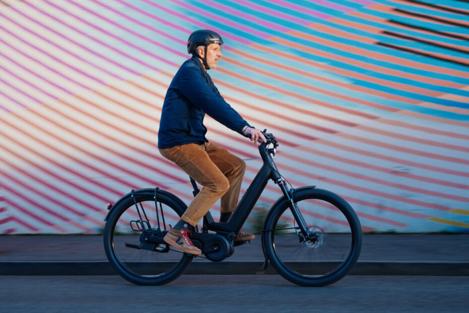 Electric bike with nexus gears sale