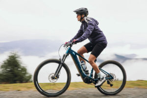 Liv Lurra E+ 2 ebike