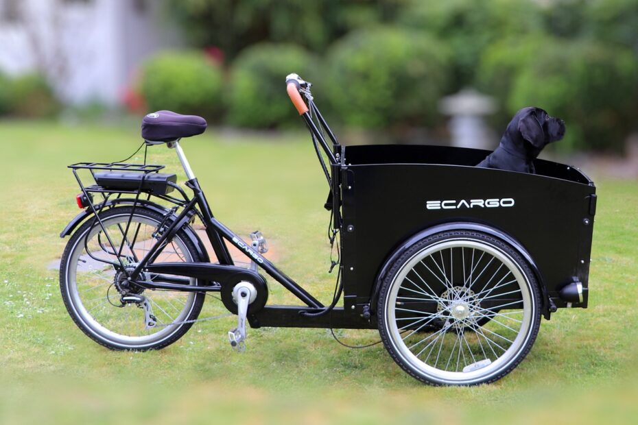 electric-cargo-bike