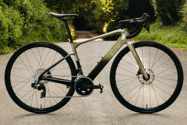 Liv Avail Advanced E+ Elite 2 ebike