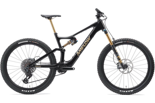 Amflow PL Carbon Pro 800 ebike