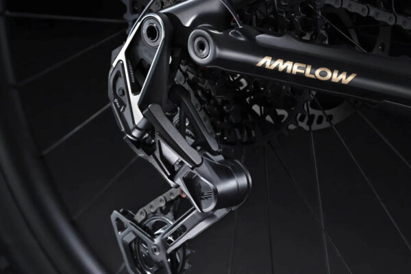 Sram X0 Eagle Transmission gearing on the Amflow PL Carbon Pro ebike