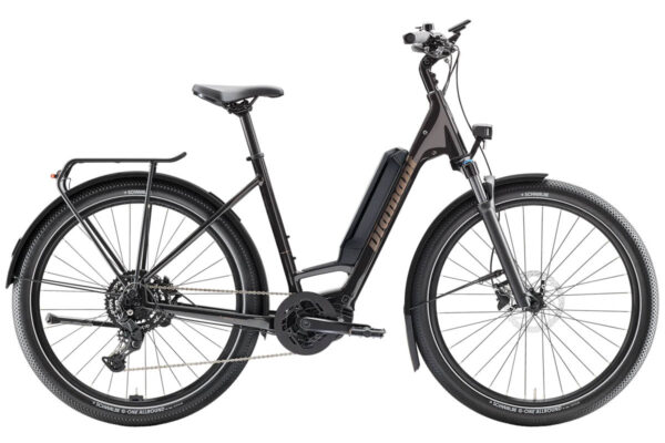 Diamant Zing Trip Core 2025 ebike wiht low-step frame in the colour Samtschwarz Metallic