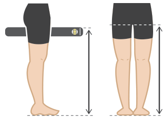 Sizing  How To Find Your Proper Inseam Size