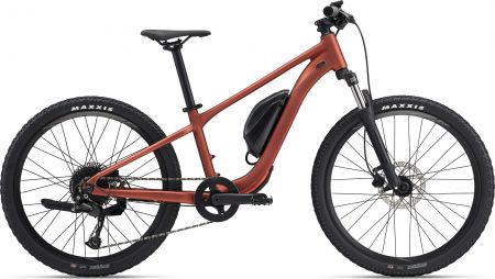 Giant e 2024 mtb bikes