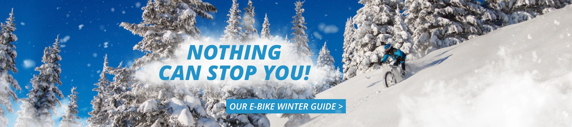 eBike24 Winter Guide